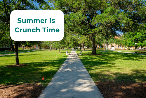 Summer is crunch time 2